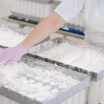 Calcium Hydroxylapatite Fillers Market Growth Forecast 2026–2035
