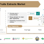 Dried Fruits Extracts Market