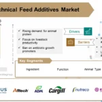 Zootechnical Feed Additives Market