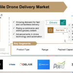 Last Mile Drone Delivery Market